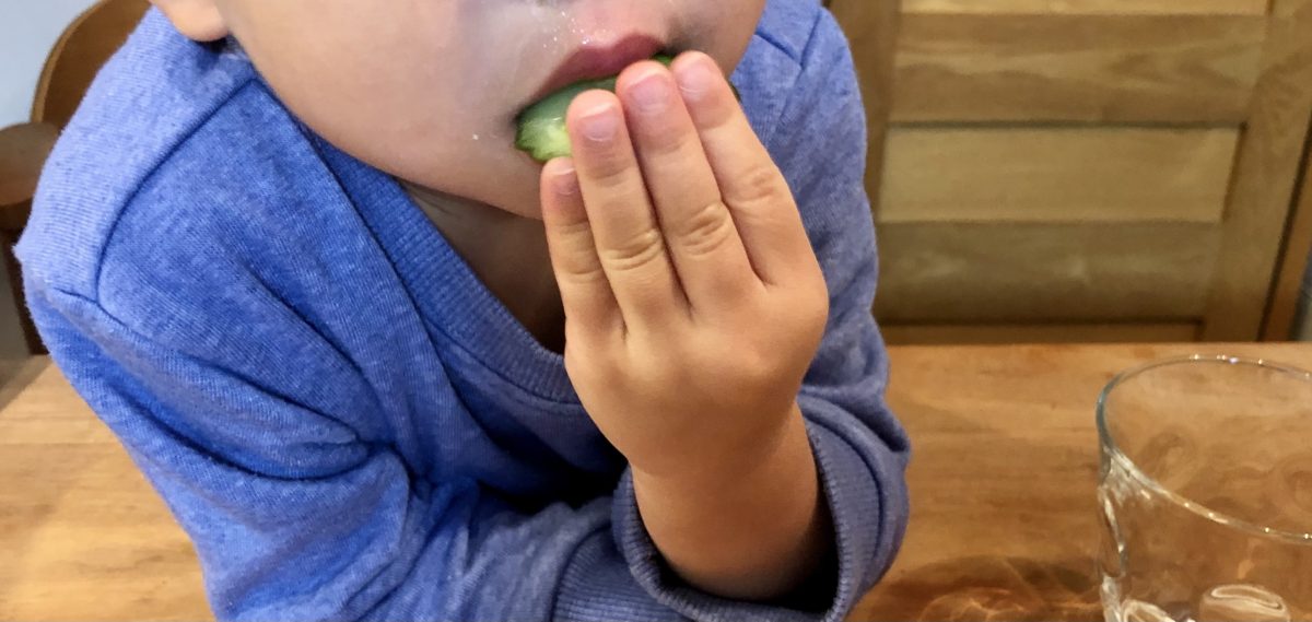2歳の子もパリパリ食べる